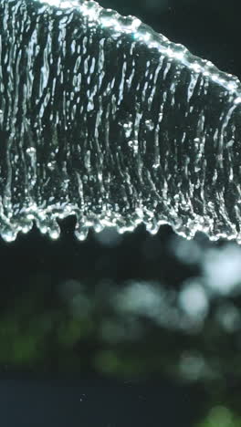 stream of water spraying from garden hose, close up. watering the green grass. slow motion. vertical video