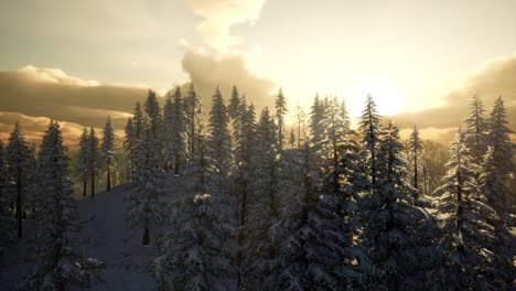 Winterlandschaft-Mit-Nebligem-Bergsonnenuntergang