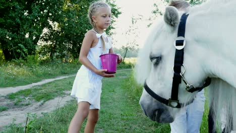 children, a boy and a girl of seven years, fed a white pony, give to eat carrots. cheerful, happy family vacation. outdoors, in the summer, near the forest