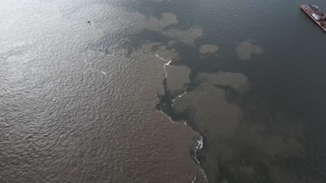 aerial drone fly above confluence between tapajós and amazon river, brazilian amazonas water convergence with color contrast