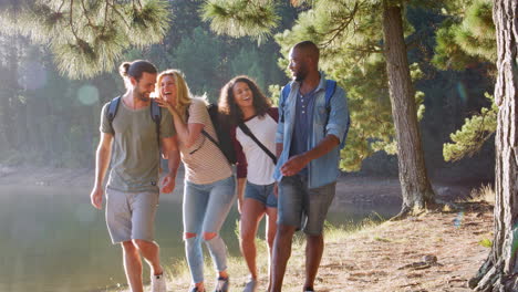 amigos en una caminata por el campo caminando por el bosque junto al lago