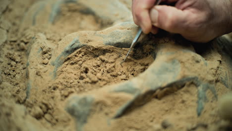 archaeologist excavating fossil