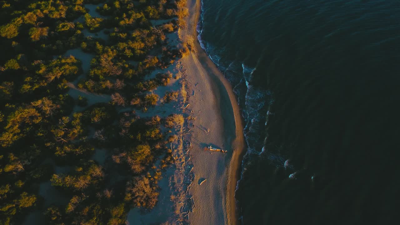 vista de pájaro parque nacional maremma en toscana italia