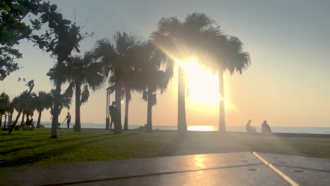 Lapso-De-Tiempo-De-Palmera-Y-Banco-De-Parque-Cerca-De-La-Playa