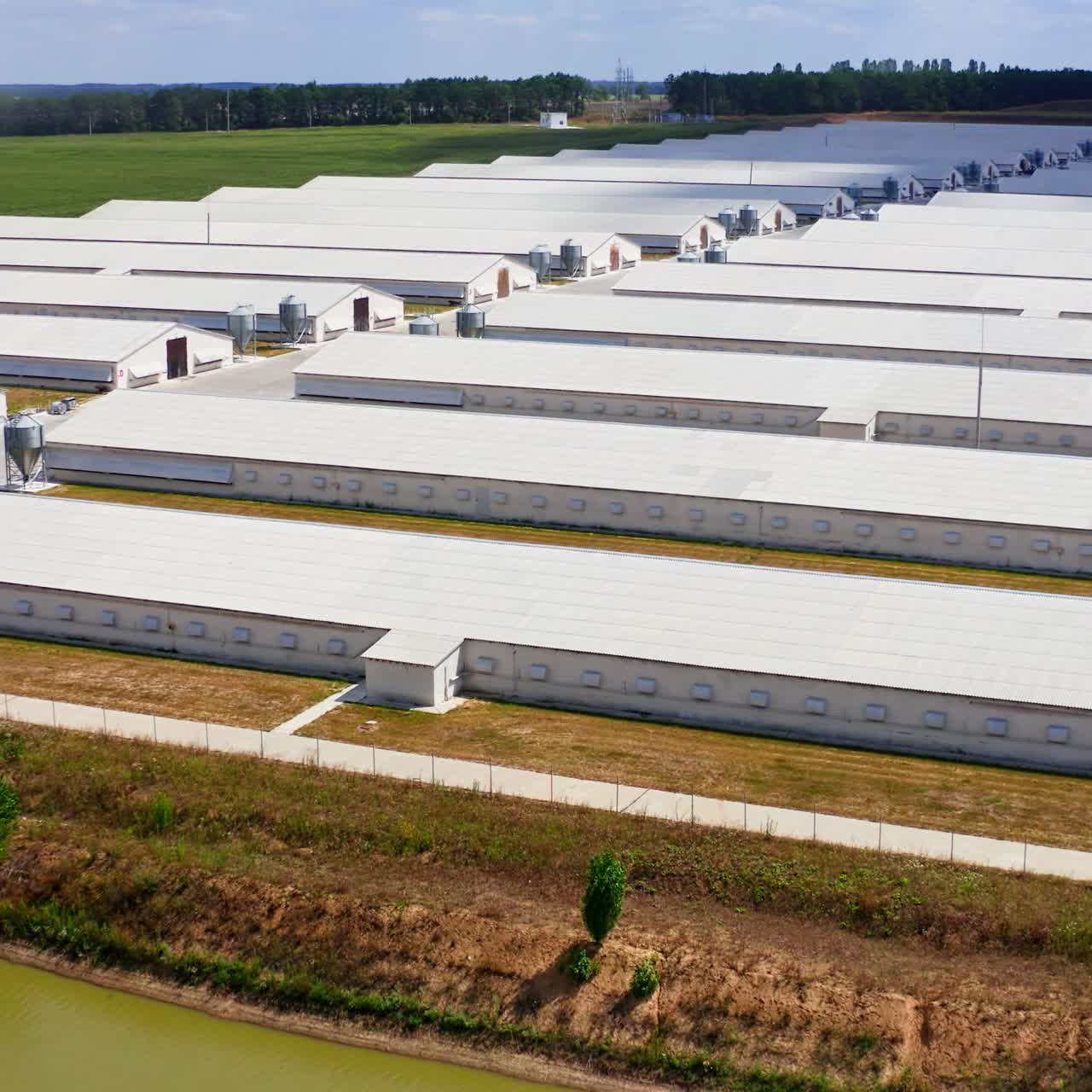 Aerial view of poultry farm. Modern farm poultry buildings. Agriculture