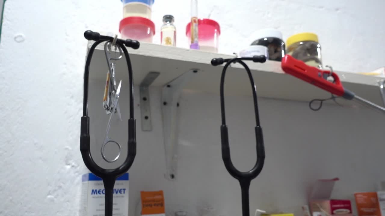 Primo piano di fonendoscopi neri appesi in una clinica veterinaria.