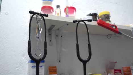 close-up shot of black stethoscopes hanging in a veterinary clinic