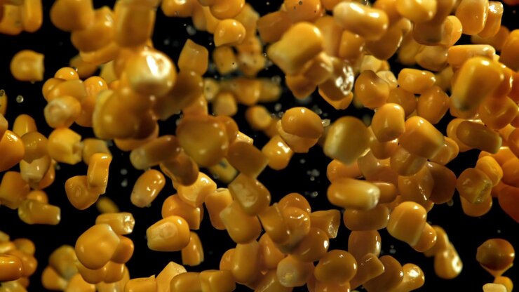 Chicchi di mais gialli freschi che cadono con gocce d'acqua al rallentatore