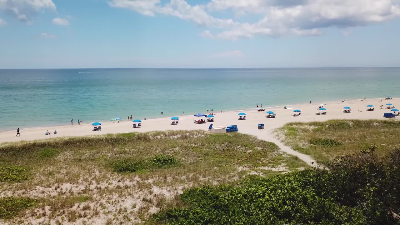 Delray Beach Palm Trees on Beach Aerial Drone 4k