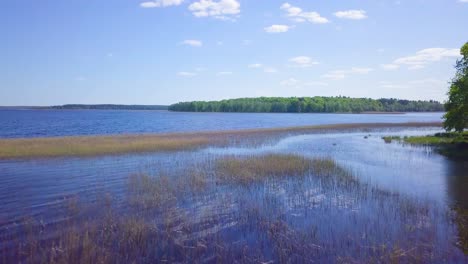 aerial view of a lake usma coastline with old reeds on a sunny summer day, distant islands with lush green forest, beautiful rural landscape, low wide angle drone shot moving forward