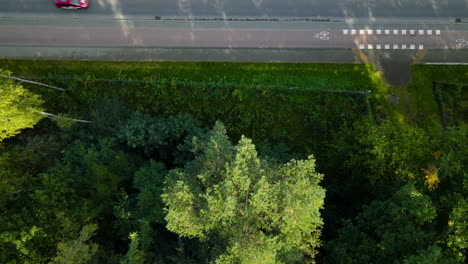 Toma-Aérea-Baja-De-Una-Carretera-Con-Un-Carril-Bici-En-Polonia