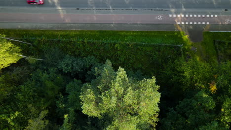 low aerial overhead shot of a highway with a bike lane in poland