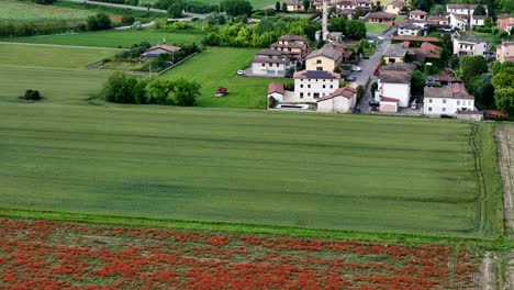 a descending drone reveals a vast field of red poppies (papaver rhoeas) surrounded by green crops and farmhouses, blending wild beauty with cultivated agriculture in the italian countryside