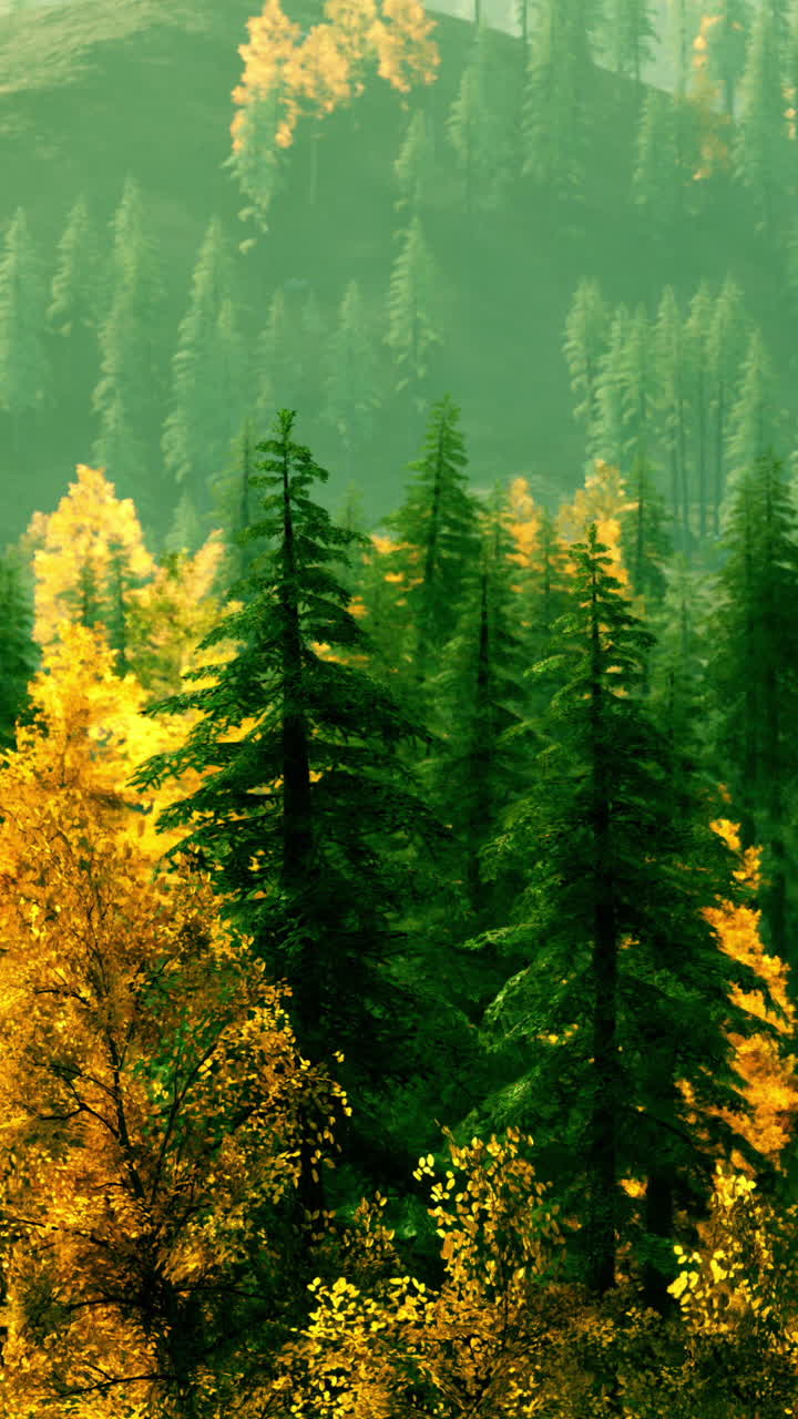 otoño de los bosques