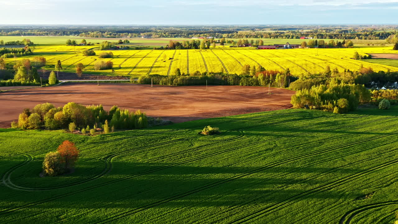 Aerial view of green and yellow agricultural fields in late afternoon sunlight