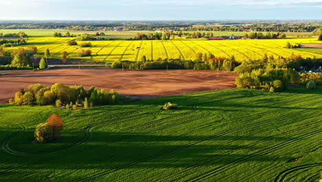 aerial view of green and yellow agricultural fields in late afternoon sunlight