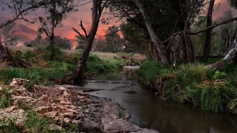 Slow-moving-drone-shot-through-trees-above-a-river-during-twilight