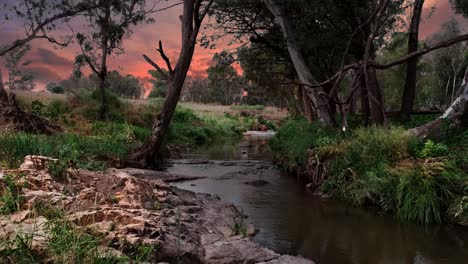 slow moving drone shot through trees above a river during twilight