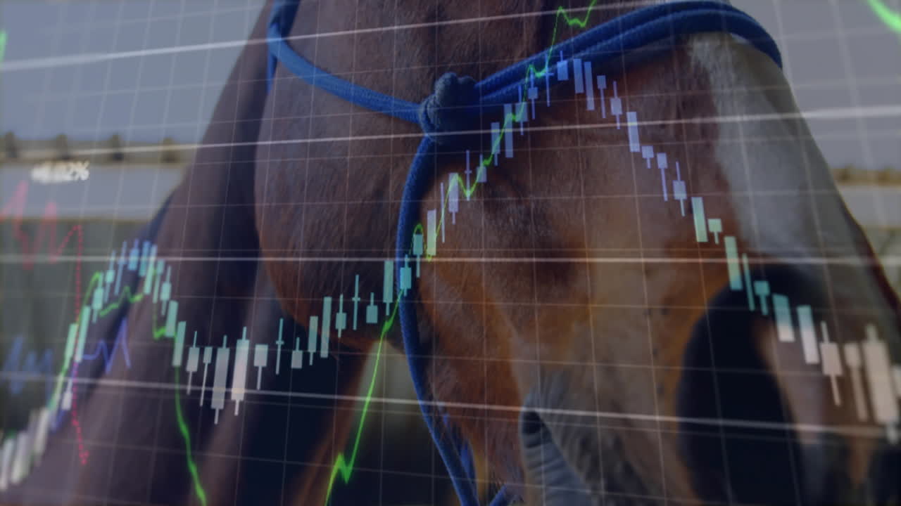 Hestehoved overlejret med et live handelsdiagram i scenen, med candlestick-søjler og trendlinjer.