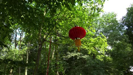 linterna china en un parque verde. 4k.