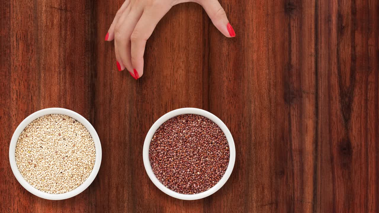 노아를 제공하는 것