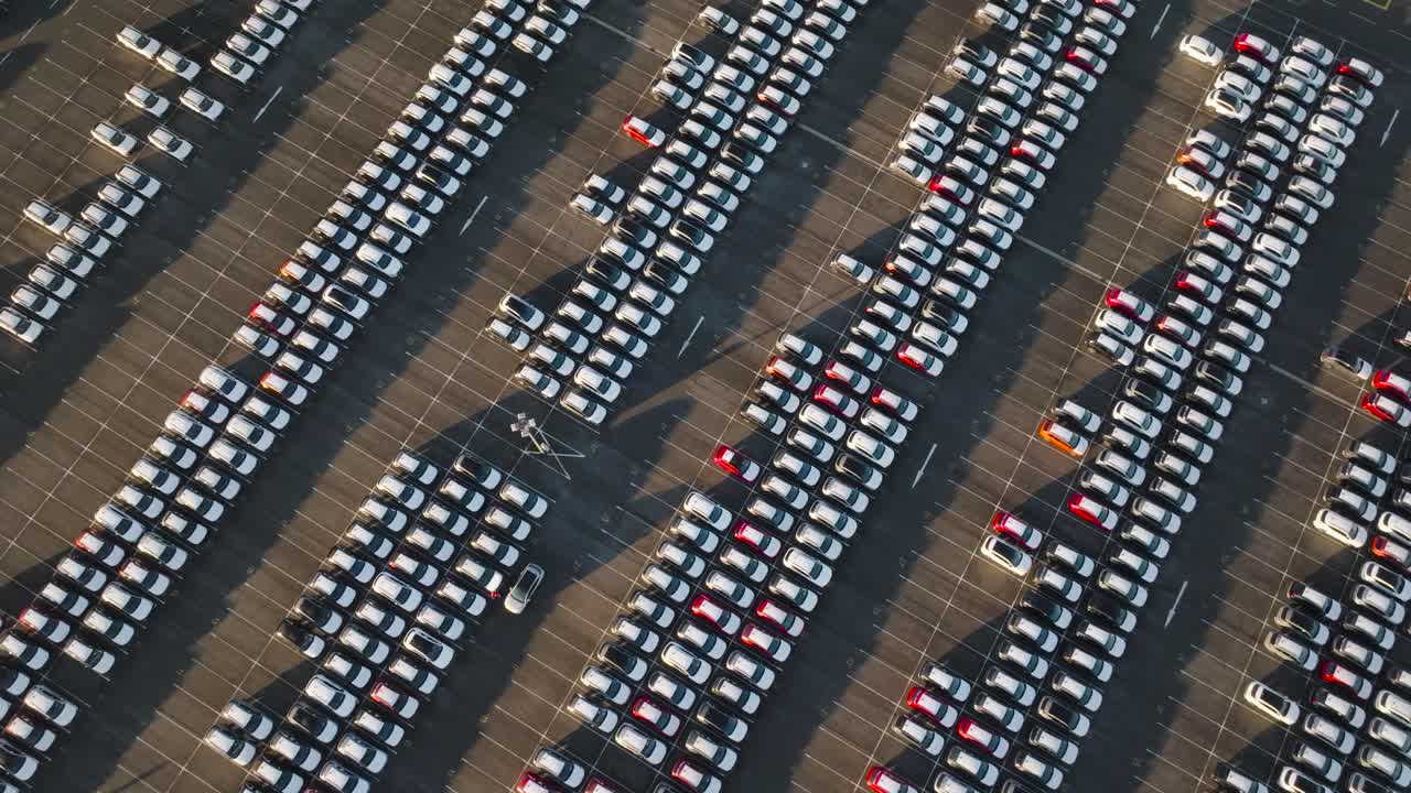 High aerial view of parking lot with identical cars from manufacturing plant