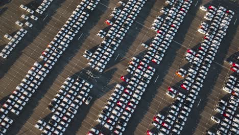 high aerial view of parking lot with identical cars from manufacturing plant