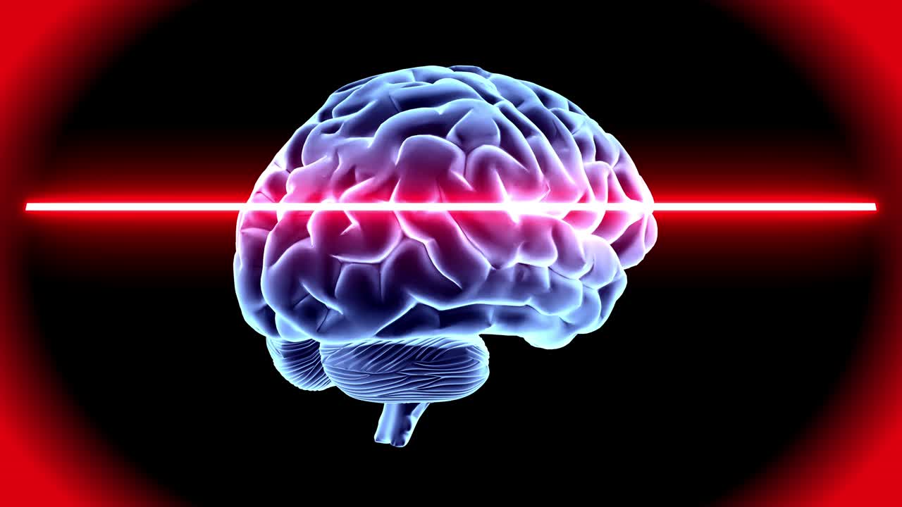 인간 뇌의 3차원 스캔의 추상적인 개념 - 원활한 루핑