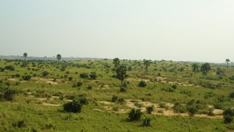 Volando-Sobre-Llanuras-Africanas-Con-Vegetación-Verde-Y-árboles-En-Un-Vasto-Desierto