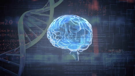 animación de un cerebro brillante sobre el adn y el procesamiento de datos