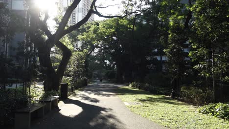 City-parks-with-walkaway-at-early-morning-,