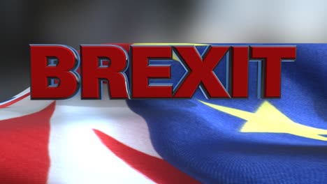 brexit-typ gegen flags