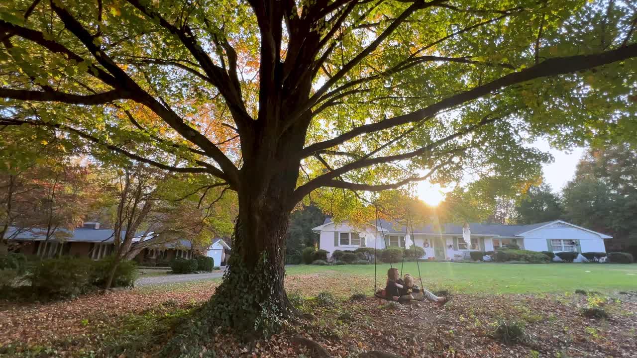 rope swing with family on swing in autumn under sugar maple in fall