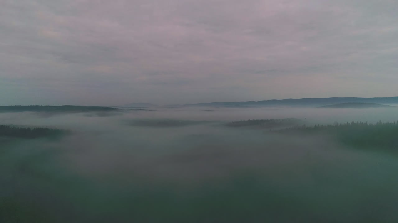 안개가 가득한 산 계곡