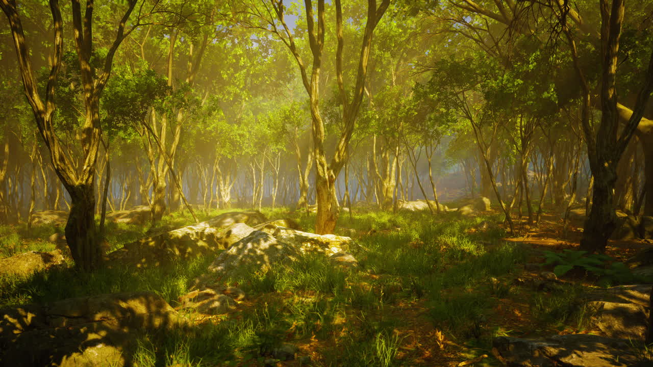 profunda jungla tropical en la oscuridad