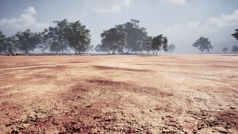 acacia-triis-in-african-landscape