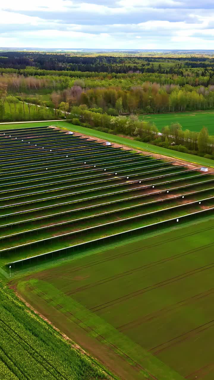 Array of solar panels with green woodland in background, aerial vertical view