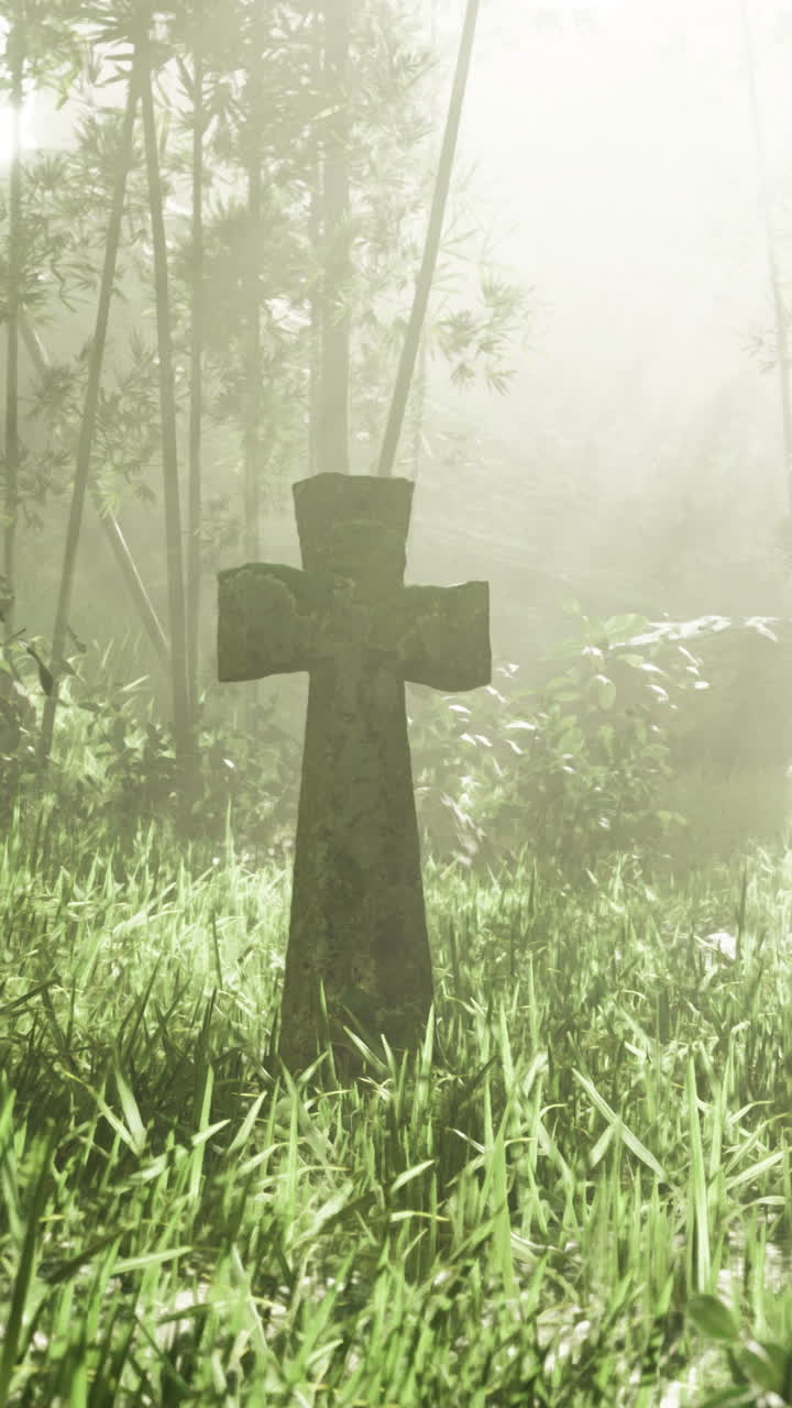 Mysterious cross in a foggy forest surrounded by lush foliage and light