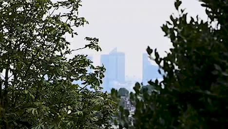 complejo de edificios canary wharf en niebla