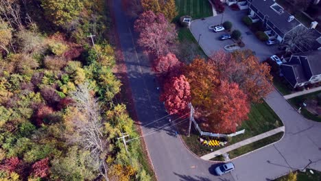 an aerial view of a two-lane road with houses and a field of trees