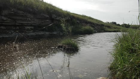 A-small,-quiet-and-calm-trickling-stream-or-creek-runs-through-a-green-prairie-field-surrounded-by-grass-and-hills-on-a-warm-sunny-day-in-the-flint-hills-of-Kansas