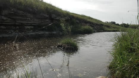 a small, quiet and calm trickling stream or creek runs through a green prairie field surrounded by grass and hills on a warm sunny day in the flint hills of kansas