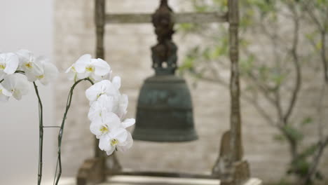 white phalaenopsis orchid with buddhist traditional bell