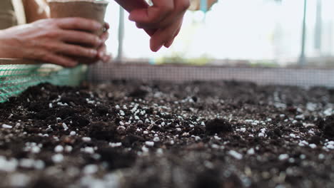 gardeners working indoors