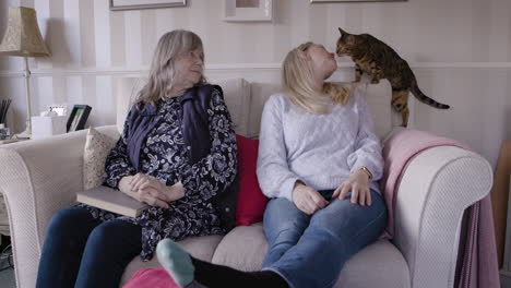two women and a cat on a couch