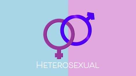 animación de texto heterosexual y símbolos de género femenino y masculino en rosa y púrpura, en azul