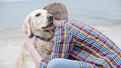 golden retriever being good boy