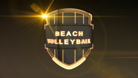 beach volleyball - orange