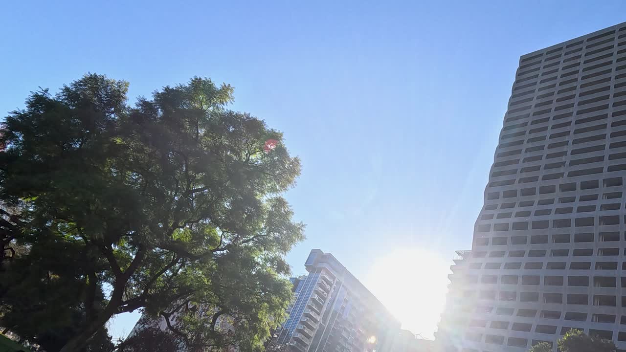 Luz solar através de árvores e edifícios em parque