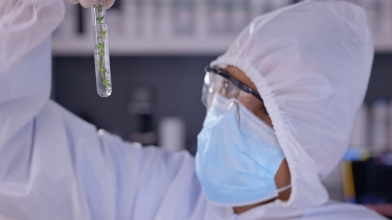 muestra de covid, tubo de ensayo y botánica